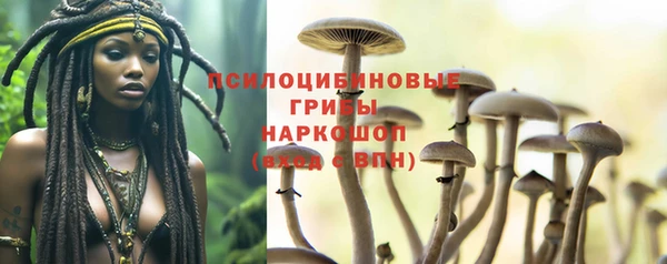 a pvp Алзамай
