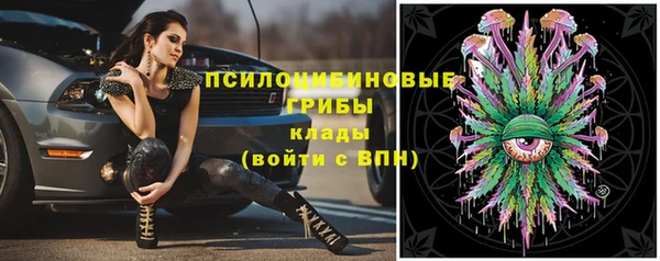 прущие крисы Аркадак