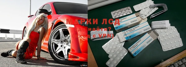 a pvp Алзамай
